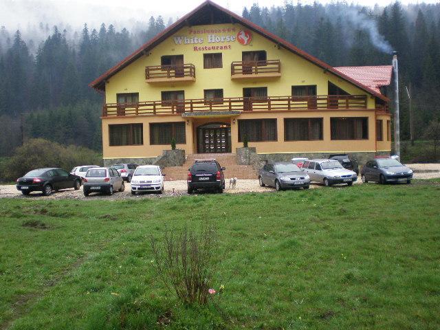 White Horse Otel Predeal Dış mekan fotoğraf